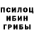 Галлюциногенные грибы Cubensis SASCHA KUSHNER