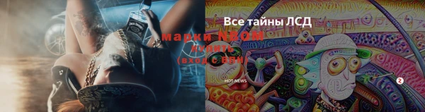 эйфоретик Абинск