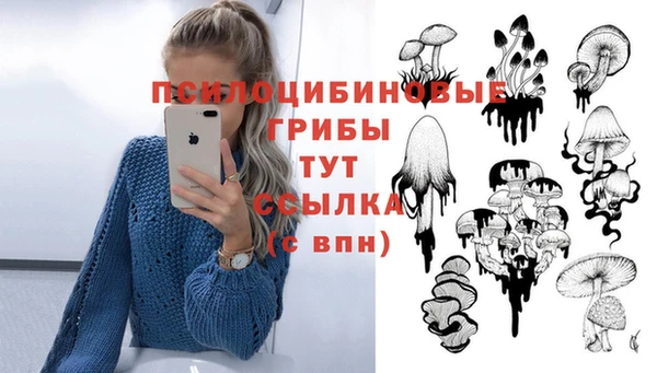 эйфоретик Абинск