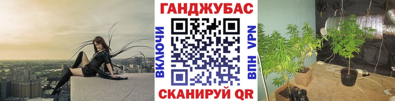 МАРИХУАНА сатива Североморск